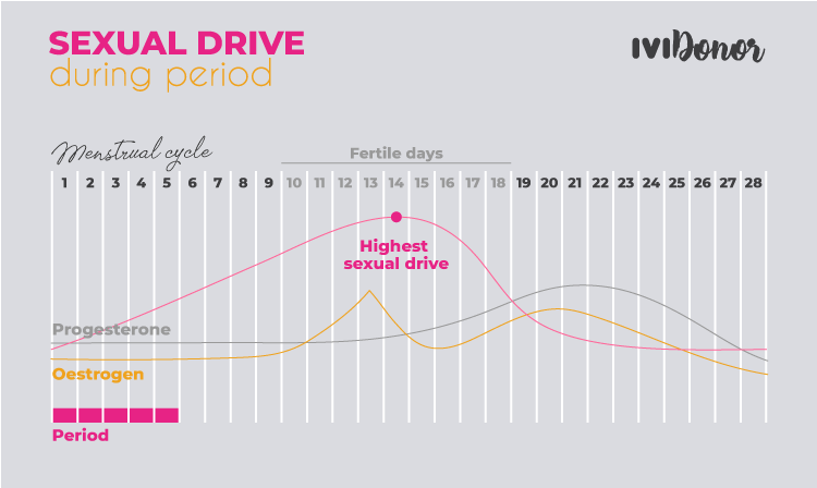 sexual drive during period